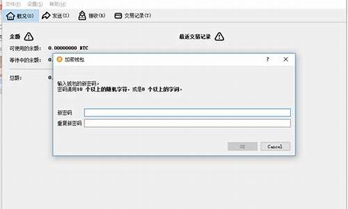 比特币钱包发送密码(比特币交易密码)