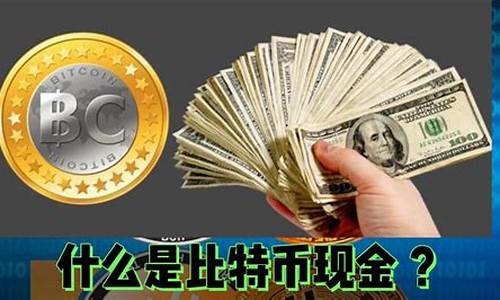 bch 什么币(bch是什么币中文名)