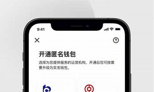 手机下载央行数字货币钱包app(下载数字货币钱包手机版)